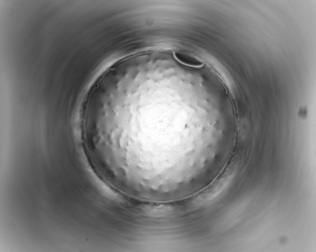 X0000103930851200809191348