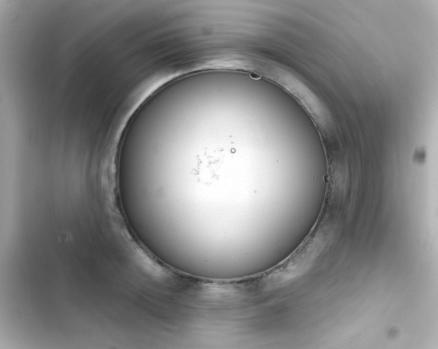 X0000103930852200809191348