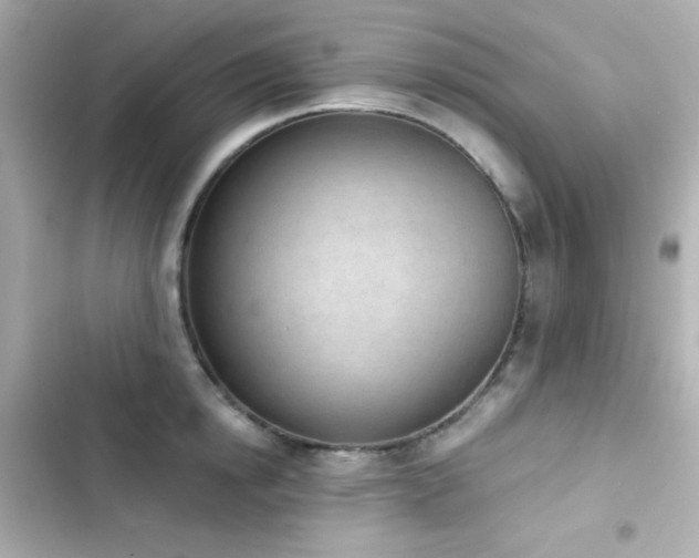 X0000103930854200809191348