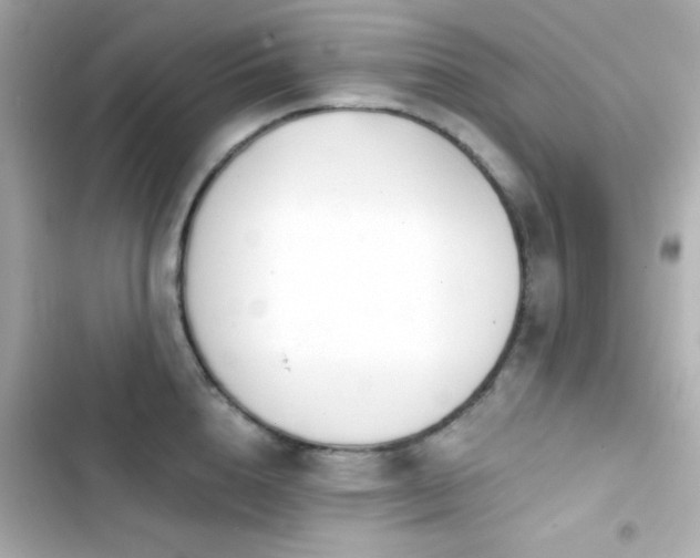 X0000103930856200809191349