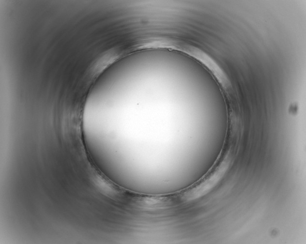 X0000103930857200809191349
