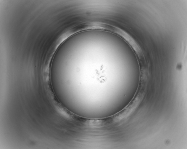 X0000103930858200809191349