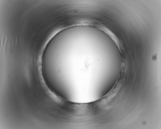 X0000103930859200809191349