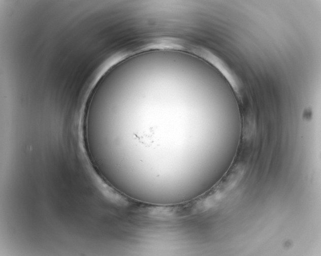 X0000103930861200809191349