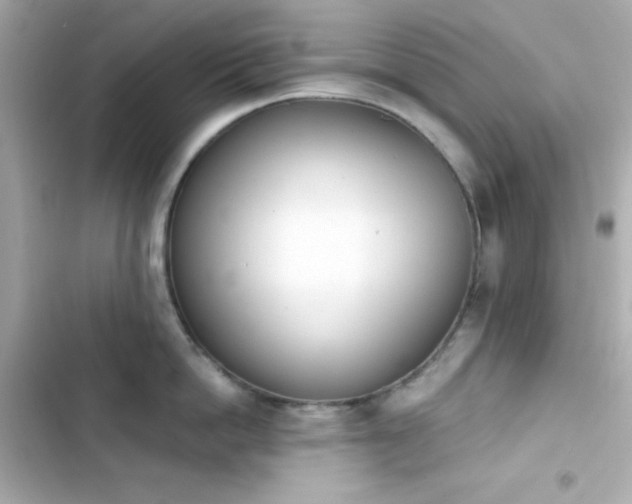 X0000103930862200809191349