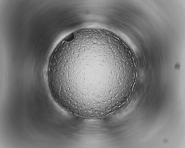 X0000103930863200809191349