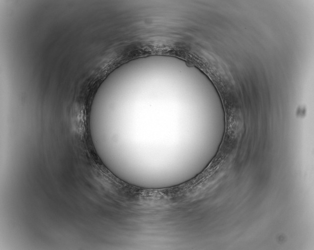 X0000103930866200809191348