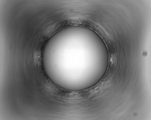 X0000103930867200809191348