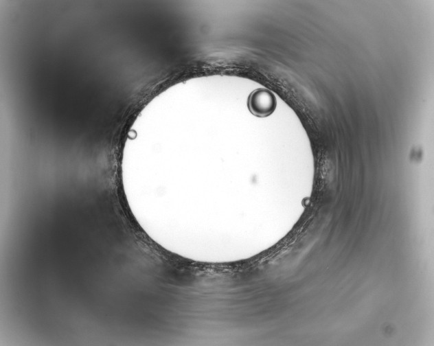 X0000103930868200809191348