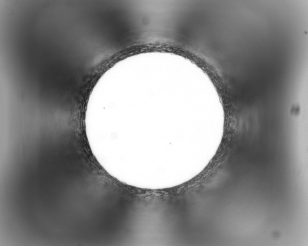 X0000103930869200809191348