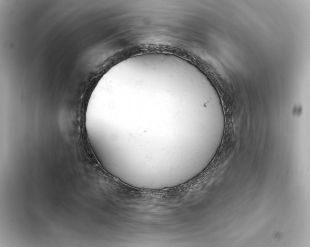 X0000103930870200809191348
