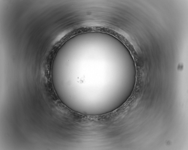 X0000103930871200809191348