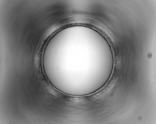 X0000103930874200809191348