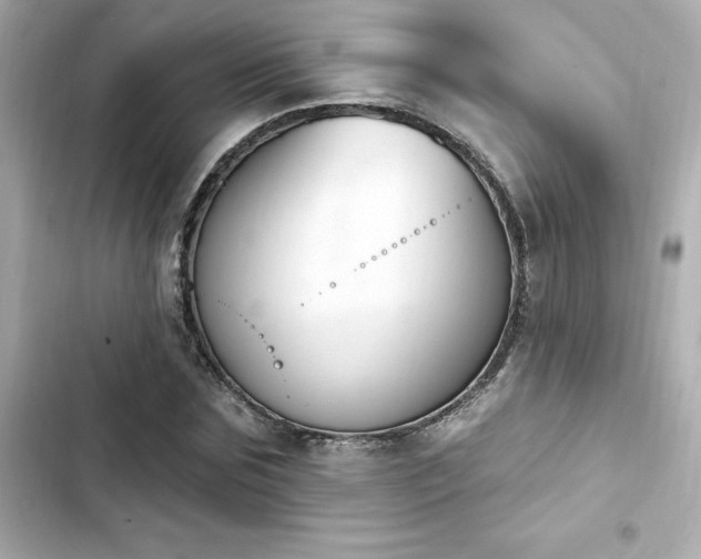 X0000103930875200809191348