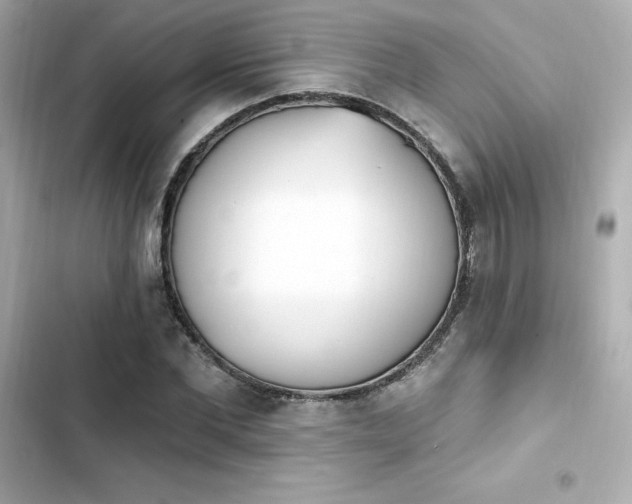 X0000103930877200809191348