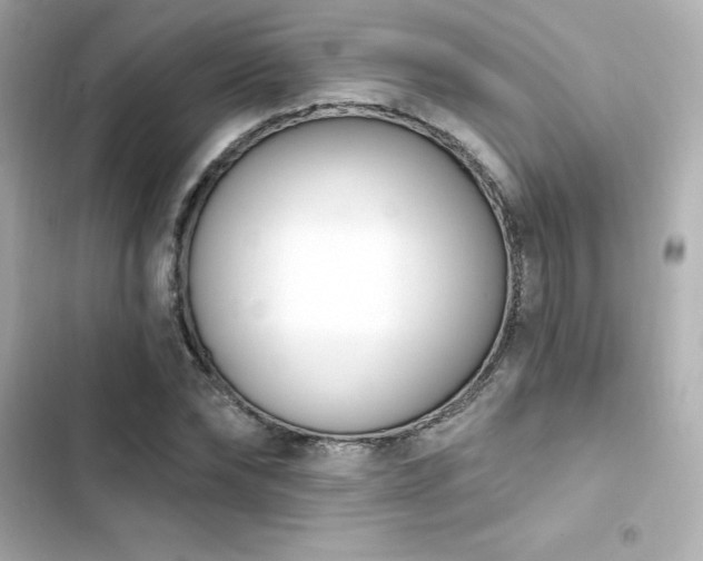 X0000103930878200809191348