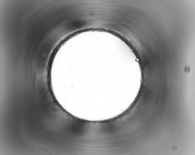 X0000103930880200809191348