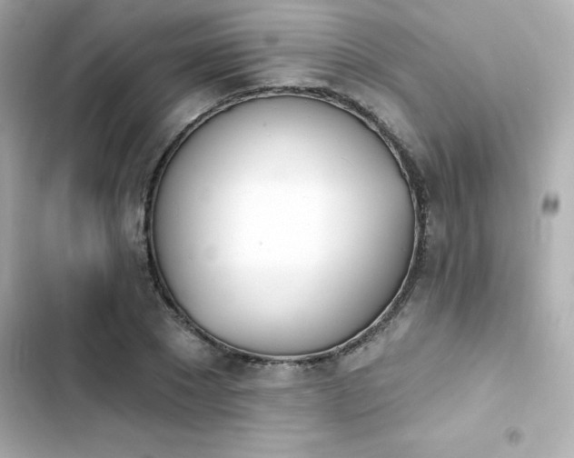 X0000103930881200809191348