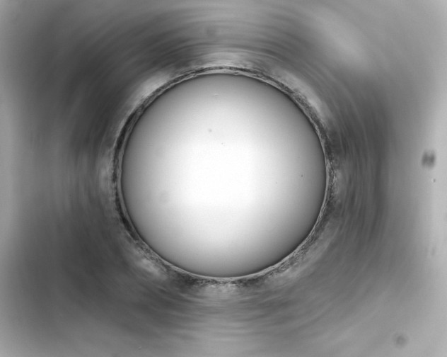 X0000103930882200809191348