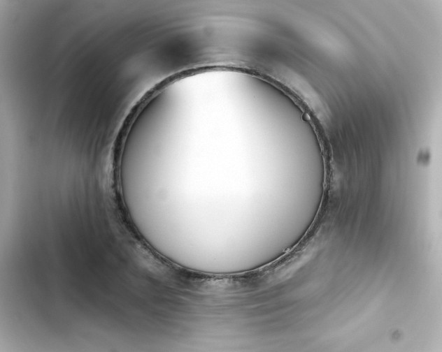 X0000103930883200809191348