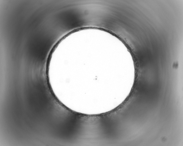 X0000103930884200809191348