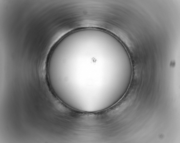 X0000103930885200809191348