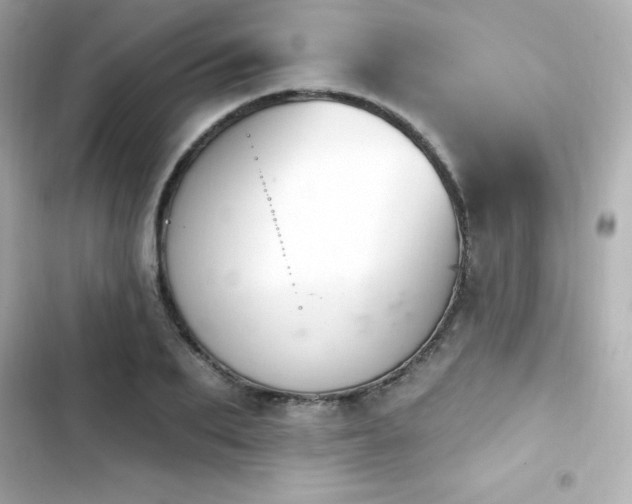 X0000103930887200809191347