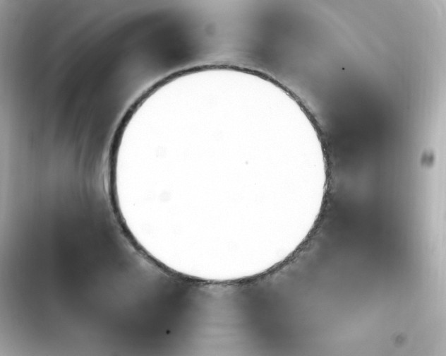 X0000103930888200809191347