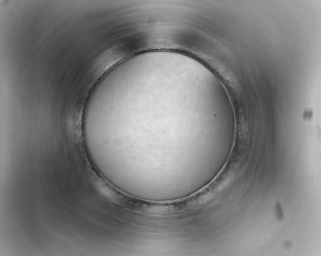 X0000103930889200809191347