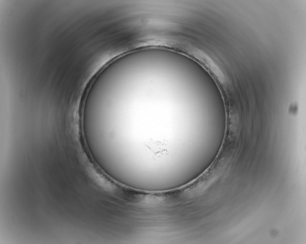 X0000103930890200809191347