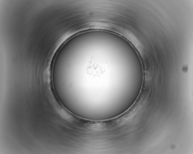 X0000103930891200809191347