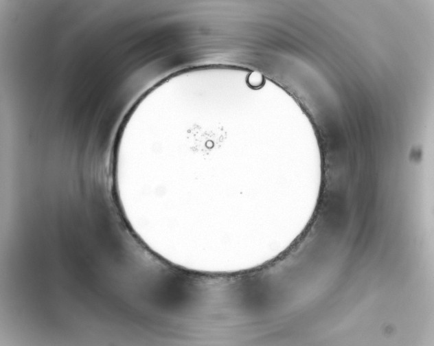 X0000103930892200809191347