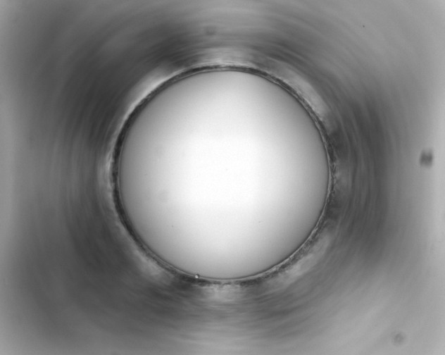 X0000103930893200809191347