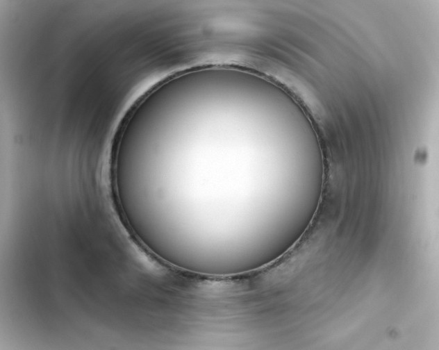 X0000103930894200809191347