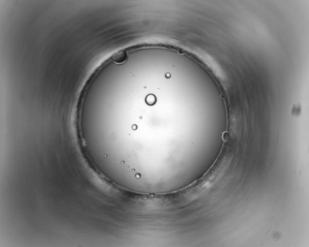 X0000103930895200809191347