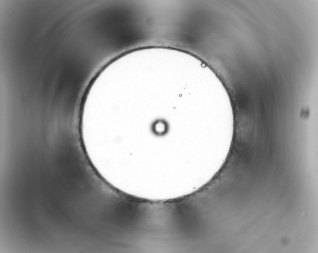 X0000103930896200809191347