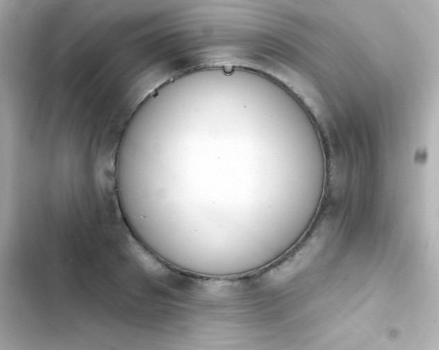 X0000103930897200809191347