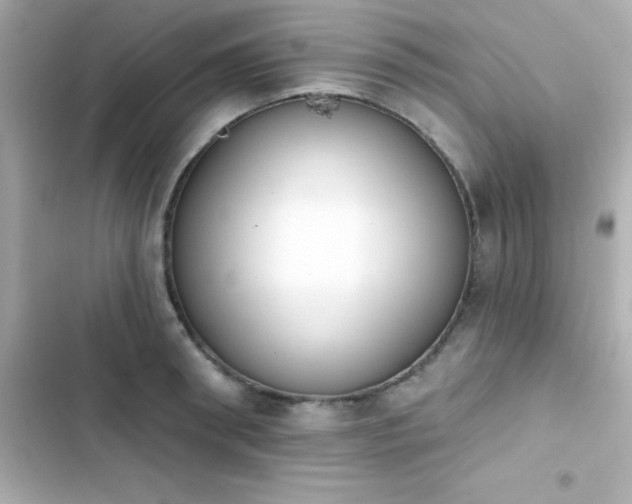 X0000103930898200809191347