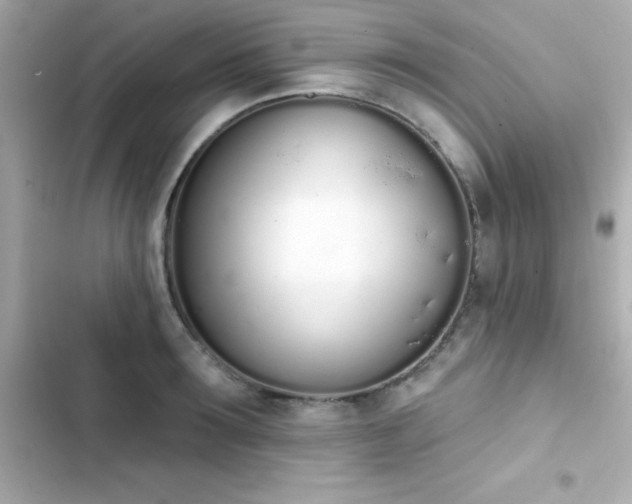 X0000103930899200809191347
