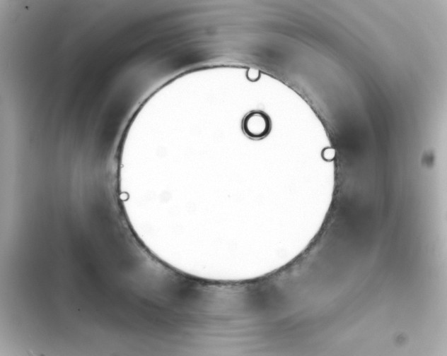 X0000103930900200809191347