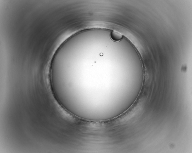 X0000103930901200809191347
