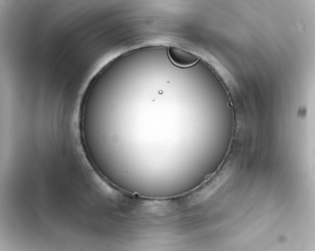 X0000103930902200809191347
