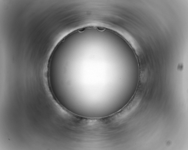 X0000103930903200809191347