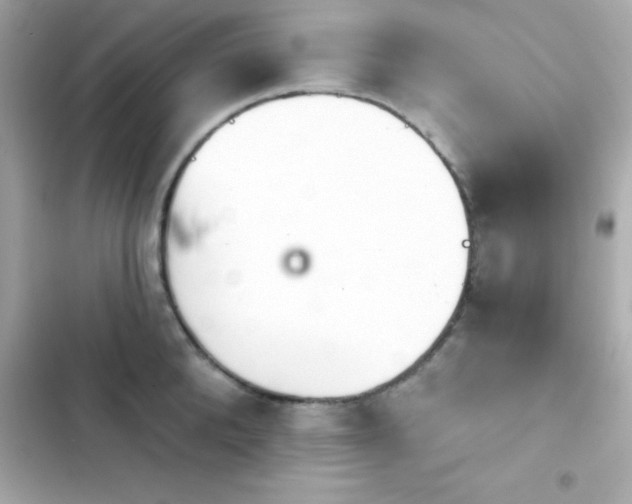 X0000103930904200809191347