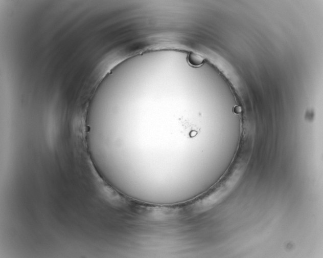 X0000103930905200809191347