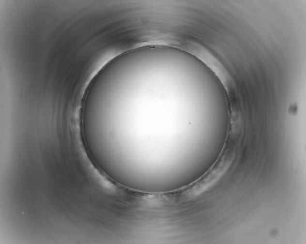 X0000103930906200809191347
