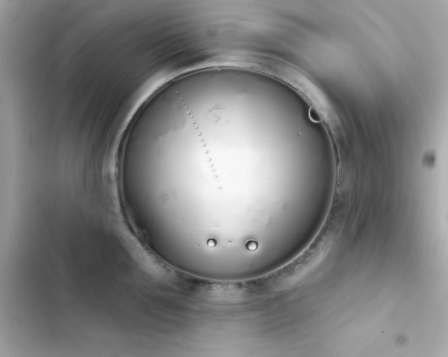 X0000103930907200809191347
