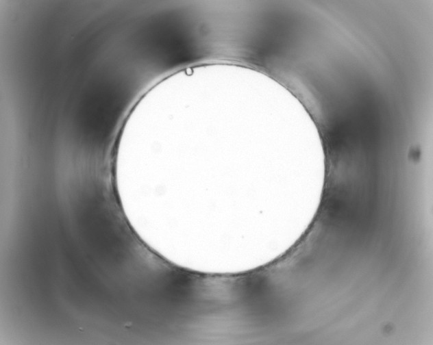 X0000103930908200809191347