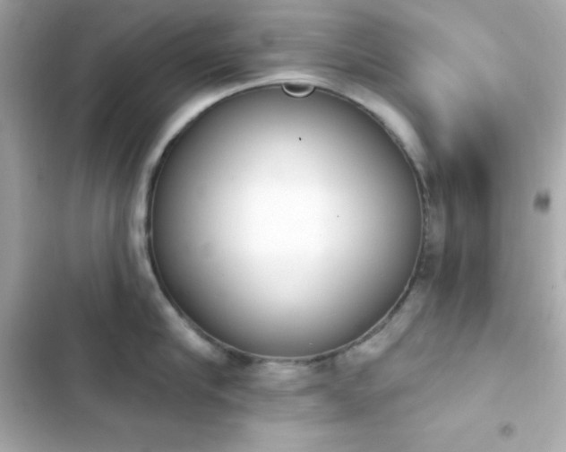 X0000103930910200809191347