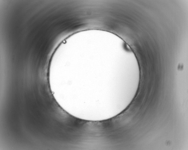 X0000103930912200809191347